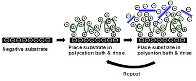 Multilayer build-up containing cellulose nanocrystals