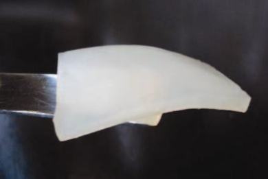A piece of poly(vinyl alcohol)/cellulose nanocrystal gel