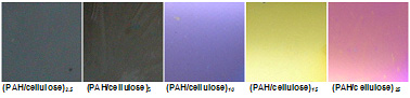 Iridescent colors seen in spin-coated LBL films of cellulose